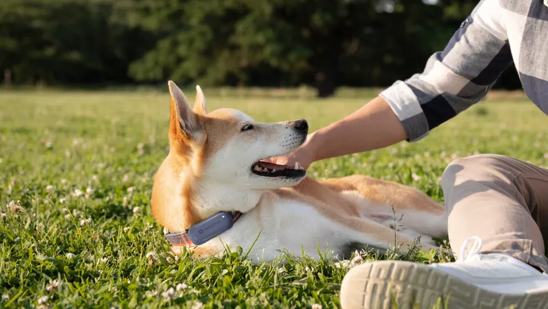 Route tracking scene